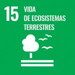vida y ecosistemas terrestres (1)